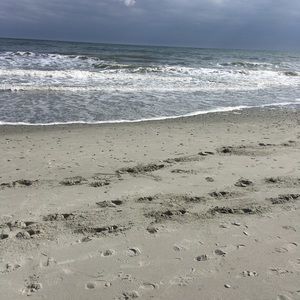 Meet your Posher, Whitney